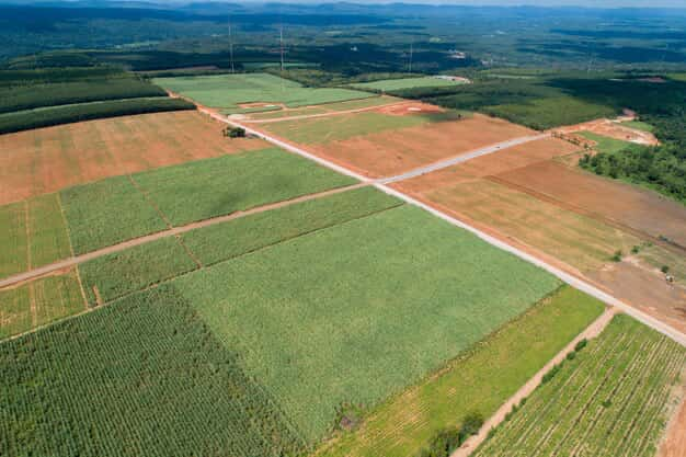 Plots of land, top view